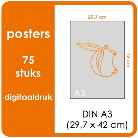A3 Posters - prijs voor 75 stuks. Print Formaat: 420mm x 297mm.papier: DCP Wit 160 gm² (Prijs Per pack. Print in Full color) € 49,50