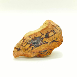 Versteend hout met kristallen, 69 gram