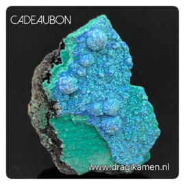 Cadeaubon € 50,00