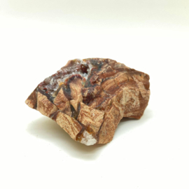 Versteend hout met kristallen, 116 gram