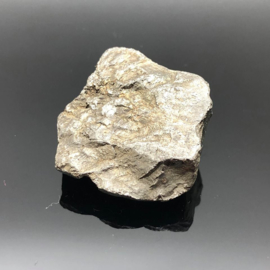 Meteoriet uit Gibeon Namibië