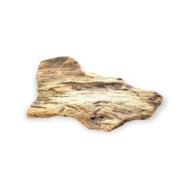 Versteend Hout, 1381 gram