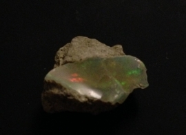 Ruwe Opaal Welo harlekijn, 9,8 ct