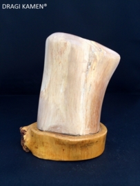 Versteend hout sculptuur met houten houder. Code: VH002