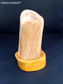 Versteend hout sculptuur met houten houder. Code: VH002