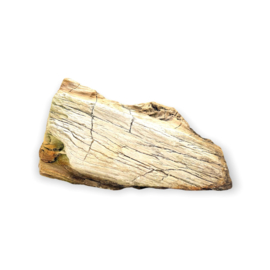 Versteend Hout, 1381 gram