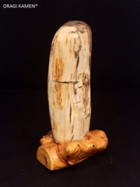 Versteend hout sculptuur met houten houder. Code: VH016