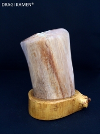 Versteend hout sculptuur met houten houder. Code: VH002