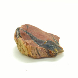 Versteend hout met kristallen, 62 gram