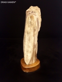 Versteend hout sculptuur met houten houder. Code: VH020