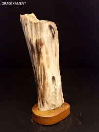 Versteend hout sculptuur met houten houder. Code: VH020