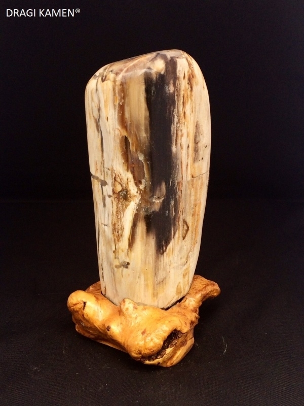 Versteend hout sculptuur met houten houder. Code: VH016