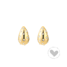 Oorbellen| Diamonds & Pearls
