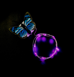 Haarlichtjes Butterfly | Pink