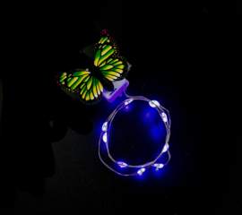 Haarlichtjes Butterfly | Purple