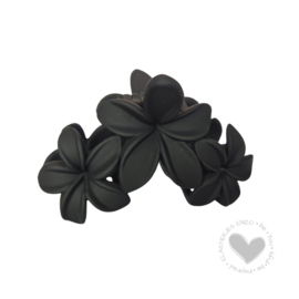 Haarklem Flowers | Black
