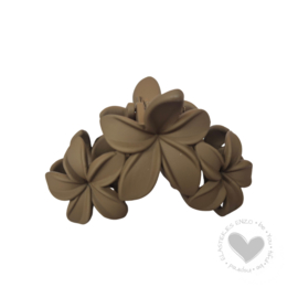 Haarklem Flowers | Brown