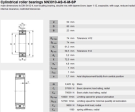 NN3010-TN/SPW33 SKF