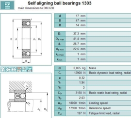 1303-EM/P62 SKF