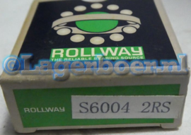 6004-2RS in RVS SS6004-2RS W6004-2RS Rollway