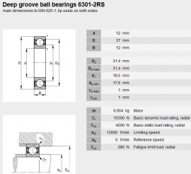 6301-2RS NTR in RVS SS6301-2RS W6301-2RS