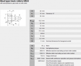 KR22(B) SKF