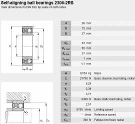 2306E-2RS1TN9 SKF