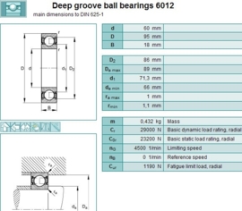 6012 SKF