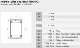 RNA4901 INA