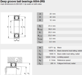 6004-2RS NTR per 10 stuks!