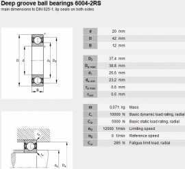 6004-2RS in RVS SS6004-2RS W6004-2RS INA