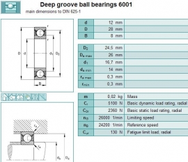 6001 SKF