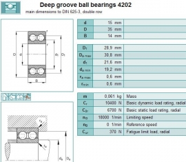 4202-ATN9 SKF