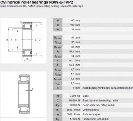 N309-E.TVP2 FAG