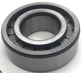 NJ2004-EV/C3 SKF