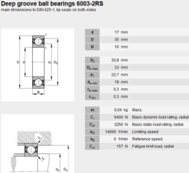 6003-2RS NTR in RVS SS6003-2RS W6003-2RS