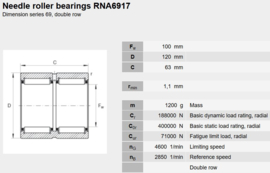 RNA6917 SKF
