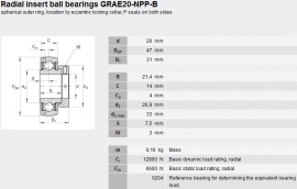 RAE20NPPB-FA106 INA