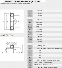 7302B SKF