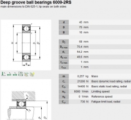 6009-2RS in RVS LDI SS6009-2RS W6009-2RS