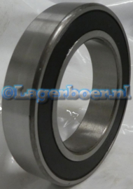 6009-2RS SKF