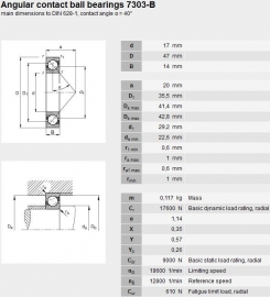 7303-BEGAP SKF