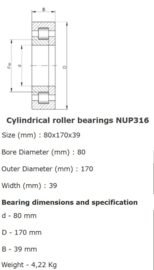 NUP316-ECP SKF