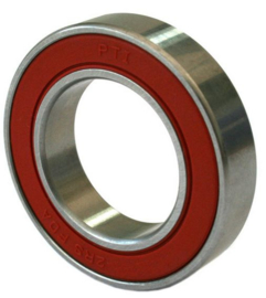 6000-2RS in RVS SS6000-2RS W6000-2RS PTi