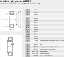 NJ2222-ECJ/C3 SKF