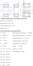 C2213-TN9 SKF CARB®
