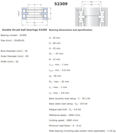 52309 SKF