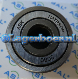 NATR8-PP Askubal