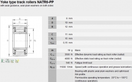 NATR6-X INA