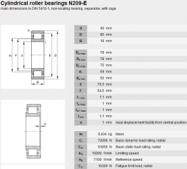 N209-ECP SKF